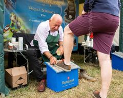 EL18-82 Ellingham Ringwood Show 2018