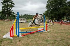 EL18-86 Ellingham Ringwood Show 2018