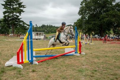 Ellingham and Ringwood Show 2018 Ellingham Ringwood Show 2018