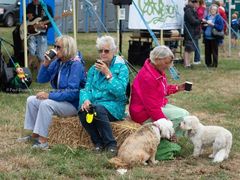 EL18-95 Ellingham Ringwood Show 2018