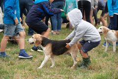 EL18-97 Ellingham Ringwood Show 2018