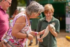 FF2018-107 Fordingbridge Festival 2018
