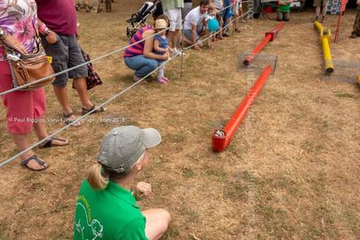 FF2018-114 Fordingbridge Festival 2018