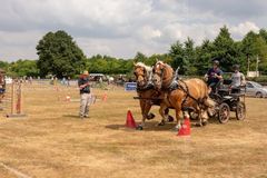 FF2018-171 Fordingbridge Festival 2018