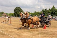 FF2018-172 Fordingbridge Festival 2018