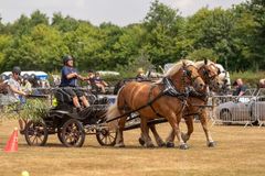 FF2018-173 Fordingbridge Festival 2018
