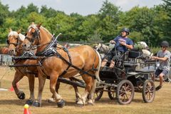 FF2018-174 Fordingbridge Festival 2018
