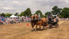 FF2018-175 Fordingbridge Festival 2018
