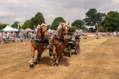 FF2018-176 Fordingbridge Festival 2018