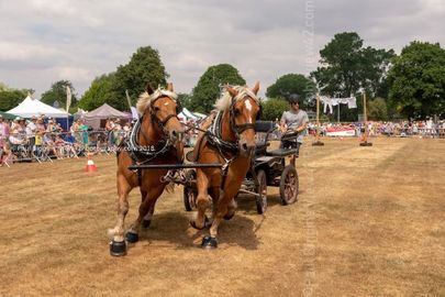 FF2018-176 Fordingbridge Festival 2018