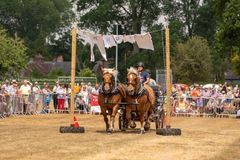 FF2018-178 Fordingbridge Festival 2018