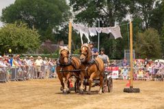 FF2018-179 Fordingbridge Festival 2018