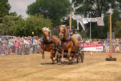 FF2018-180 Fordingbridge Festival 2018