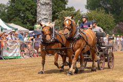 FF2018-181 Fordingbridge Festival 2018