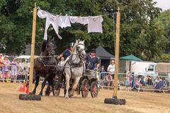 FF2018-183 Fordingbridge Festival 2018