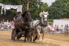 FF2018-184 Fordingbridge Festival 2018
