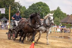 FF2018-185 Fordingbridge Festival 2018