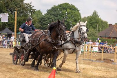FF2018-185 Fordingbridge Festival 2018