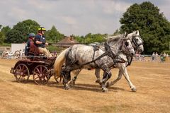 FF2018-187 Fordingbridge Festival 2018