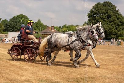 FF2018-187 Fordingbridge Festival 2018