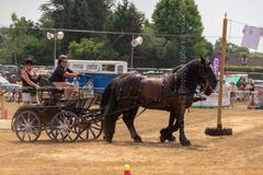 FF2018-195 Fordingbridge Festival 2018