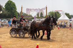 FF2018-196 Fordingbridge Festival 2018