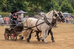 FF2018-203 Fordingbridge Festival 2018