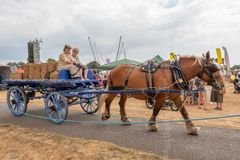 FF2018-284 Fordingbridge Festival 2018