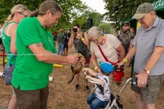 FF2018-330 Fordingbridge Festival 2018