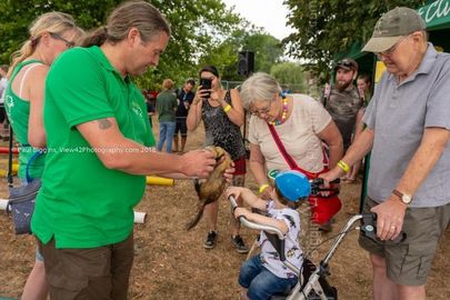 FF2018-330 Fordingbridge Festival 2018