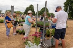 FF2018-357 Fordingbridge Festival 2018