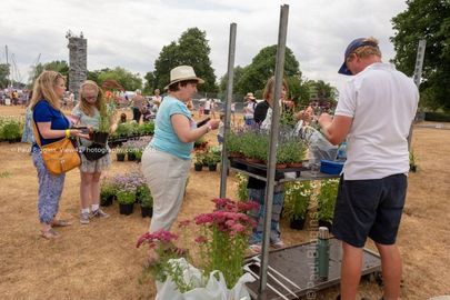 FF2018-357 Fordingbridge Festival 2018