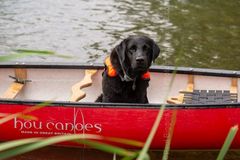 FF2018-396 Fordingbridge Festival 2018