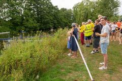 FF2018-427 Fordingbridge Festival 2018