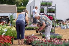 FF2018-79 Fordingbridge Festival 2018
