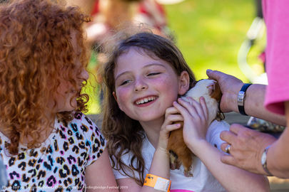 Fordingbridge Festival 2019