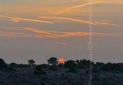 8am January 23rd, Ashley Walk. 20" x 16" incl. mount. Fordingbridge New Forest print winter sunrise
