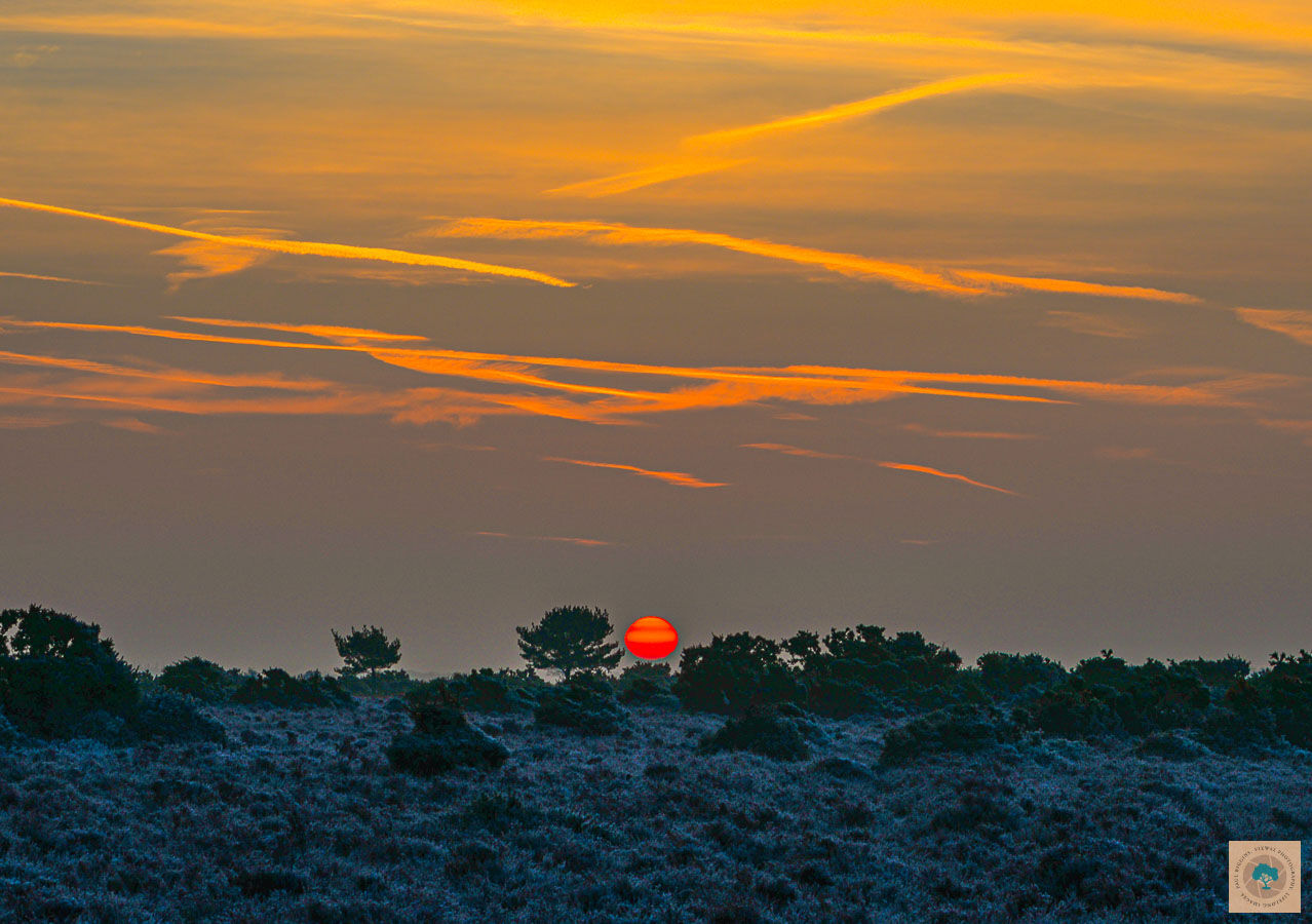 Sunrise over Cooper's Hill