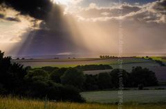 Rolling Wessex, Breamore. BBC South TV weather pic Fordingbridge New Forest print God's light Breamore