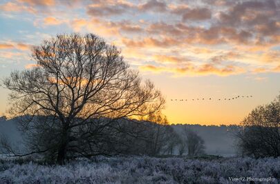 Early Morning Flight, Avon Valley