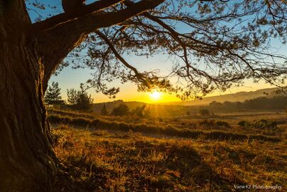 Sunny Outlook at Deadman Bottom