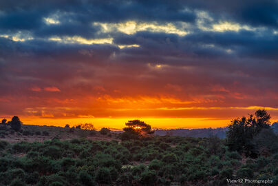 Sunset at Deadman Bottom