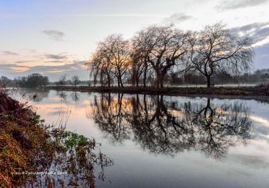 River Avon at Fordingbridge