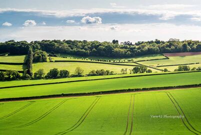 Breamore Green Fields