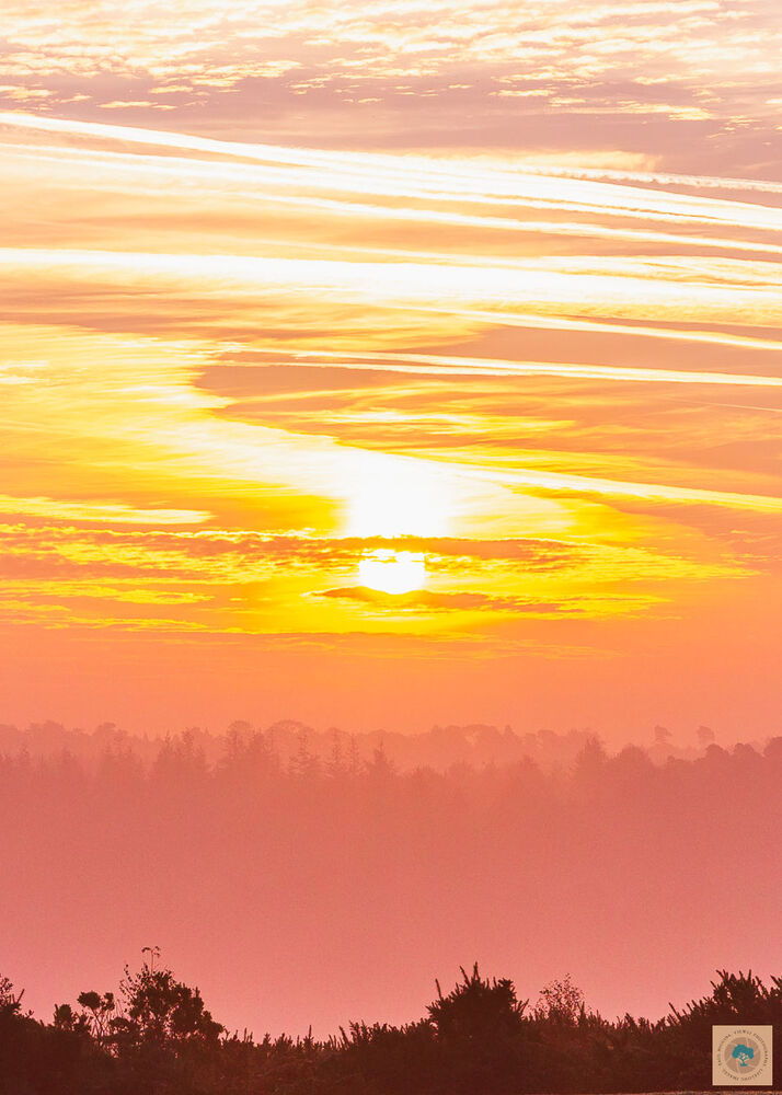 Halloween Sunrise, New Forest