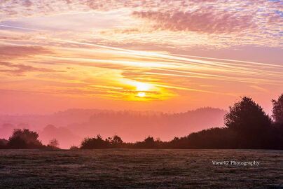 Godshill Cricket Pitch, New Forest