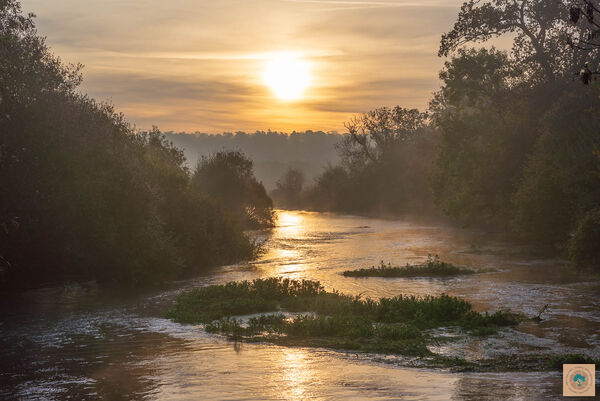 November Sunrise, Hampshire Avon