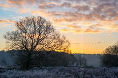 Morning Flight Over The Avon Valley. Fordingbridge New Forest print winter sunrise