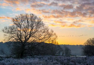 Early Morning Flight, Avon Valley