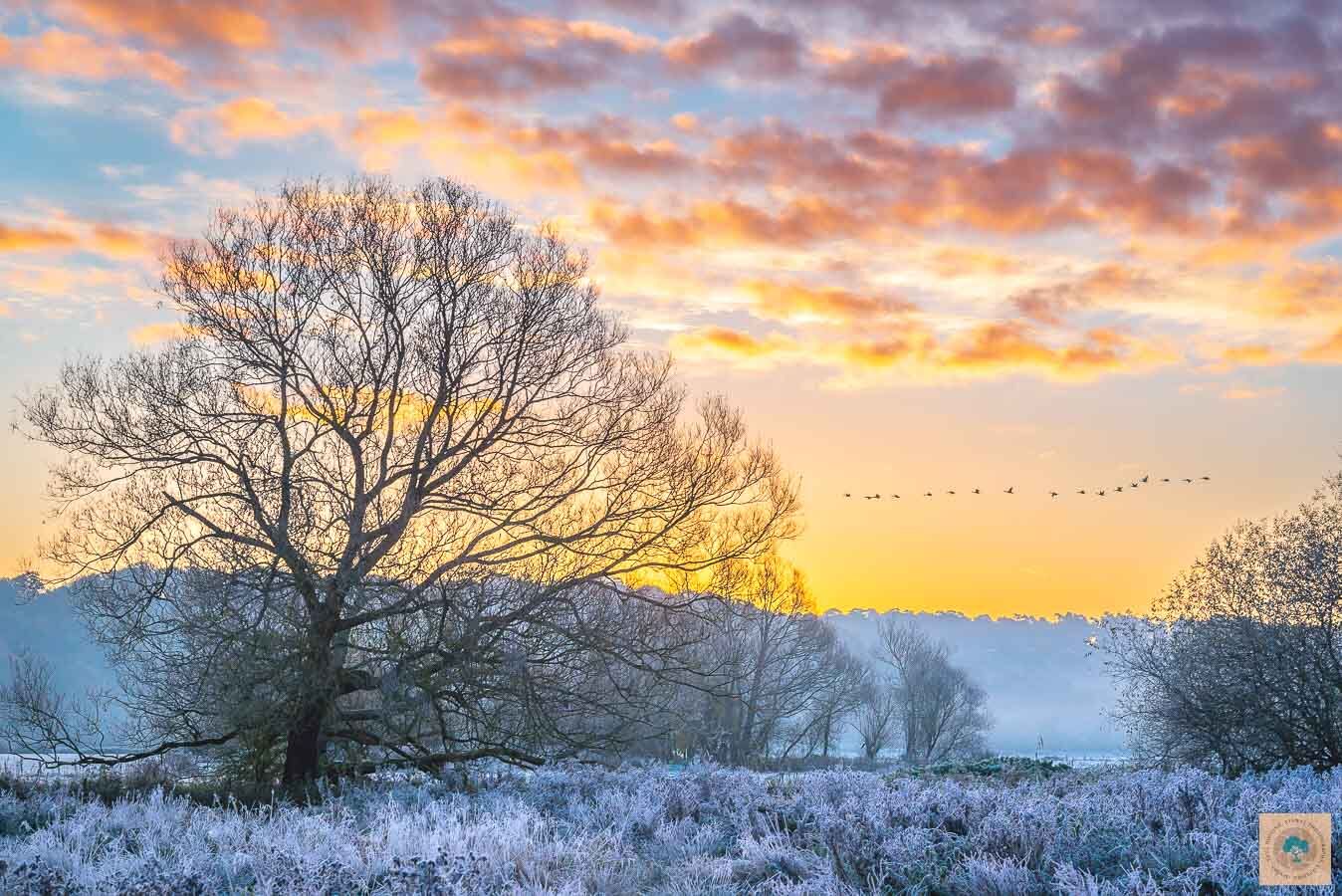 Early Morning Flight